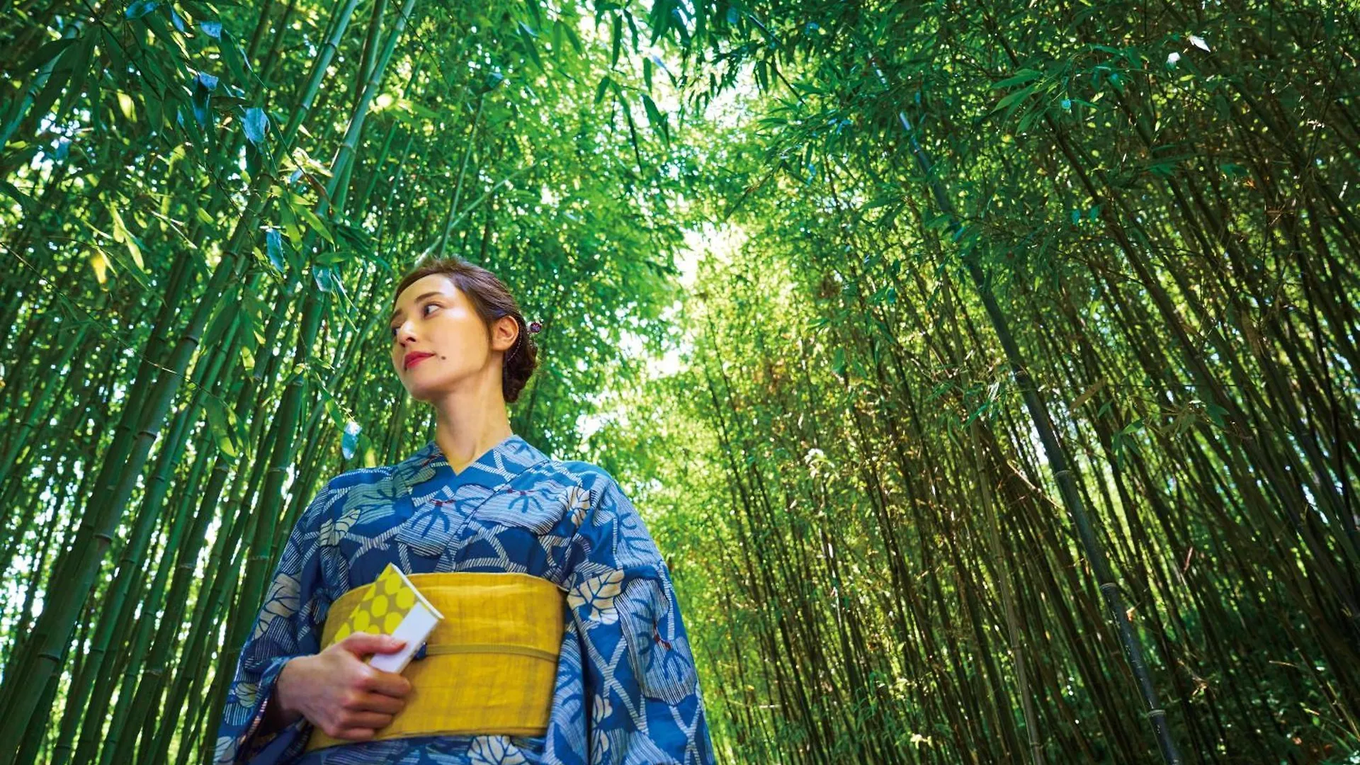 **** Hotel Manyonoyuhotelkyotoeminence Japonsko